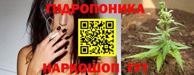 СК Краснодар