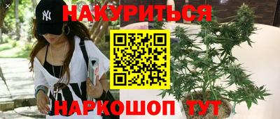 СК Краснодар